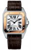 Réplique Cartier Santos 100 hommes W20107X7 Montre