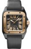 Réplique Cartier Santos 100 hommes W2020007 Montre