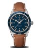 OMEGA Seamaster 300 Master Co-Axial 41mm 233.92.41.21.03.001